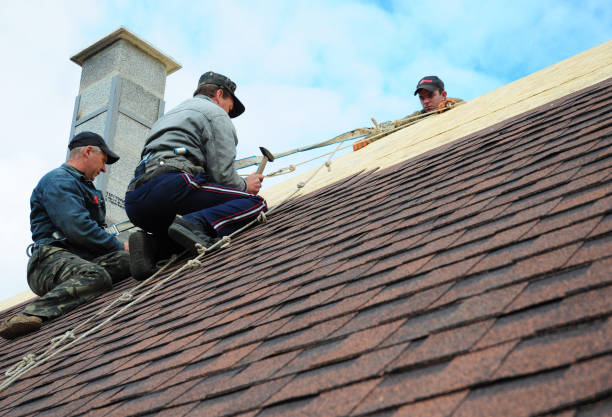 Best Roof Gutter Cleaning  in Benjamin, UT